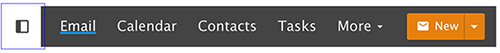 Email Show/Hide Icon